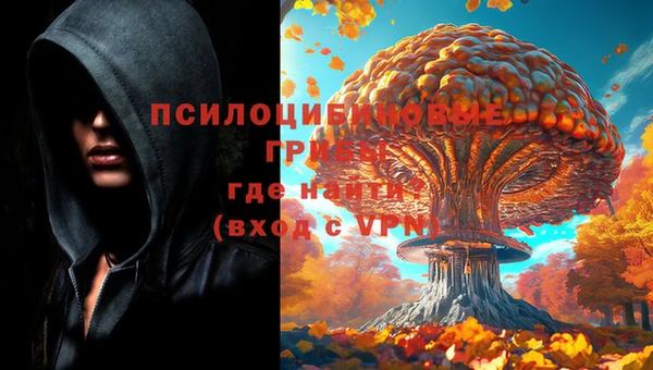 бутират Алексин