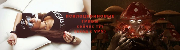 СК Алзамай