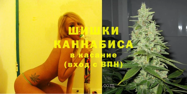 СК Алзамай