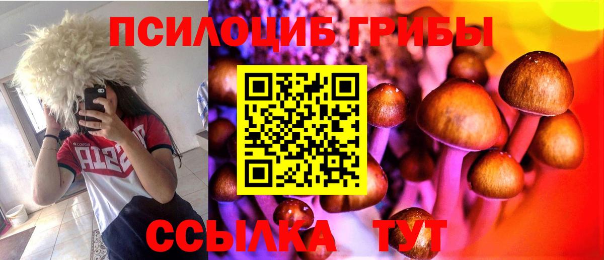 Галлюциногенные грибы Psilocybe Изобильный